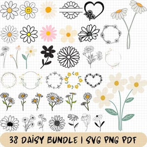 Daisy SVG Bundle, Daisy Flower Svg Designs for Cricut, Clipart cut files for Cricut, Vector Cutfile, Spring svg, Summer svg, png files