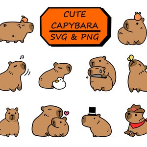 Chibi-capibara | Schattige capibara, png-bestand | Cartoon-svg | Premium digitale vectorbestanden