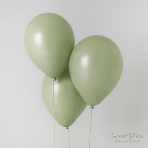 Eucalyptus Green High Quality Balloons 12&quot; | 100% Natural Latex, Biodegradable Balloons | Sage Wedding Decor