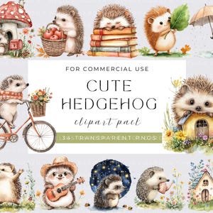 Aquarelle hérisson Clipart Illustrations d'animaux de la forêt hérisson drôle hérisson mignon dessins graphiques imprimables numériques