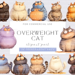 Quirky Cat Quirky Overweight Cat Clipart Cute Fat Cat Illustration for Digital Downloads Perfect for Stickers Printables Scrapbooking