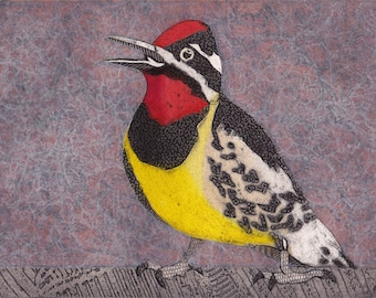 Yellow-Bellied Sapsucker 3 (Original Hand-Pulled Collograph Print of Small Male Woodpecker)