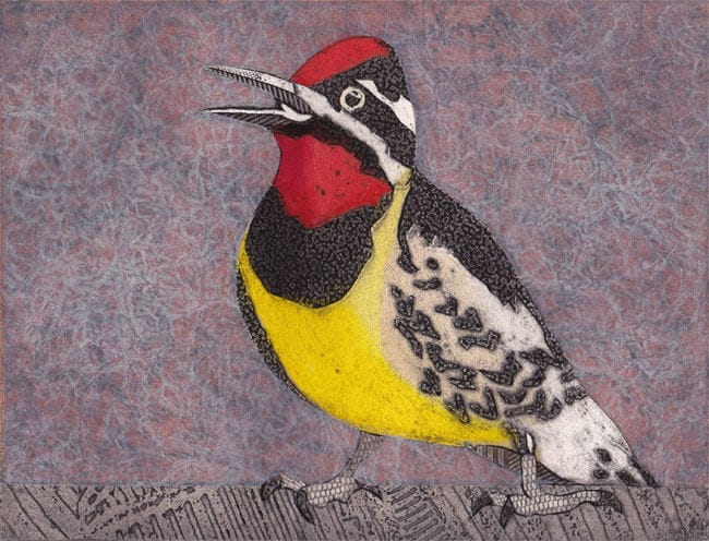 Yellow-Bellied Sapsucker 3 (Original Hand-Pulled Collograph Print of Small Male Woodpecker)