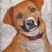 see more listings in the Dog / Cat Collographs section