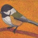 see more listings in the Bird Collographs section