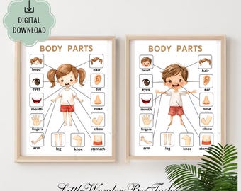 Puede incluir: Dos carteles educativos enmarcados para niños. Cada cartel presenta un niño de dibujos animados con partes del cuerpo etiquetadas, incluyendo cabeza, ojos, boca, dedos, brazo, pierna, rodilla y estómago. El texto "BODY PARTS" está en la parte superior.