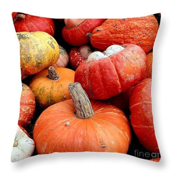 Housse Coussin Potimarron Courge Automne Impression Recto et Verso Beige Lin Photo Décoration Maison