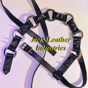 Jack leather lithering Spine Harness Natural leather