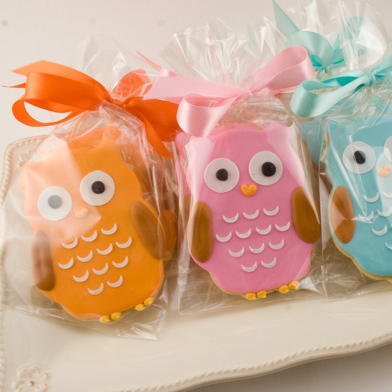Owl Cookies 24 Decorated Sugar Cookie Favors Etsy