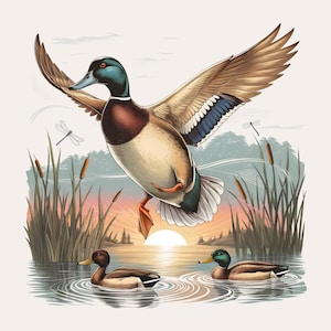 Pato-real vintage em voo PNG | Design retrô de caça ao pato | Impressão de sublimação de pato-real voador para vestuário DTG | Fundo transparente