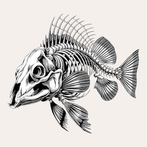 Squelette de poisson drôle PNG | Design de pêche par sublimation pour homme, femme et garçon | Squelette de bar pour vêtements | Téléchargement instantané