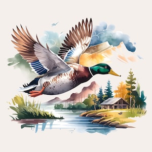 Mallard Duck Flying Clipart | Duck Hunt PNG | Digital Download | Sublimation Design for Men | Transparent Background | High Quality Files