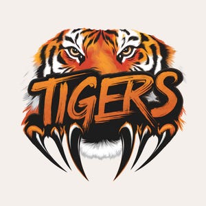 Fierce Tiger Head PNG | Spirit Tiger Mascot Logo | Watercolor Tiger Sublimation Design for T-Shirts | Tiger Logo Digital Download