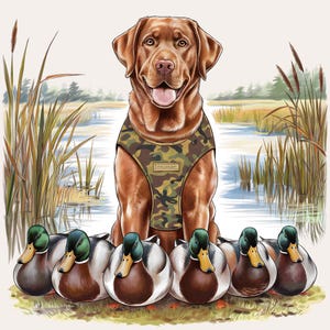 Jachthond met eenden, png PNGEgg | Ontwerp voor jacht op watervogels | Afbeelding retriever en eenden | Eend jachthond kunst | Loyal hond met watervogels, png