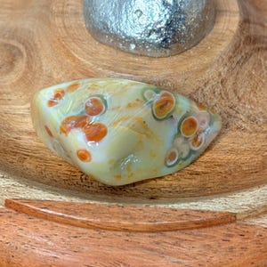 Pietra di diaspro oceanico con motivi sferici naturali / Cristallo curativo lucidato / Pietra decorativa unica