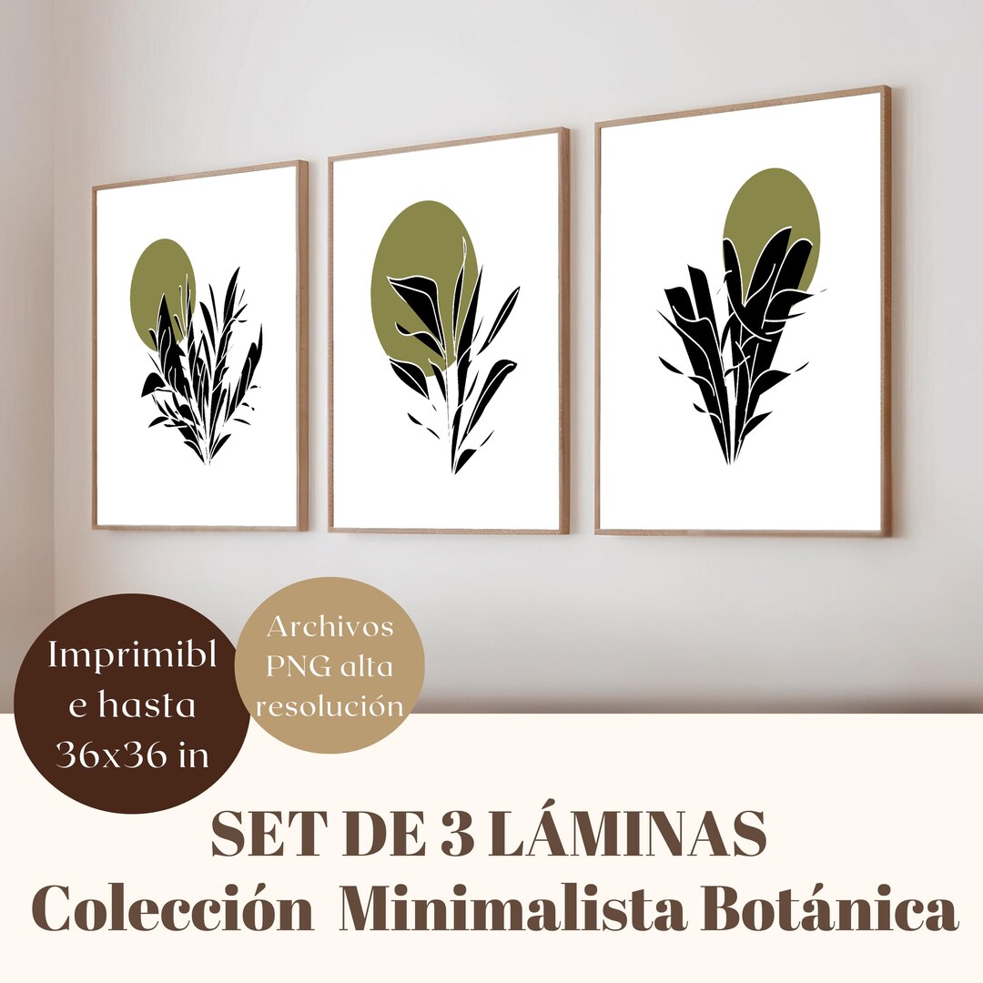 Set 3 Minimalist Plant Prints | Modern Botanical Art in Black and Green ...