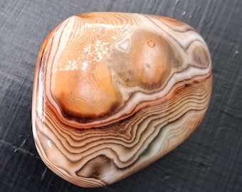 Spécimen minéral de guérison des cristaux d'agate polie par culbutage en pierre de palmier sardonyx