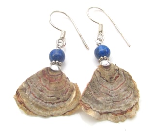 REAL MUSHROOM Earrings Turkey Tail Dried Mushrooms with Lapis Beads STERLING Silver Hooks