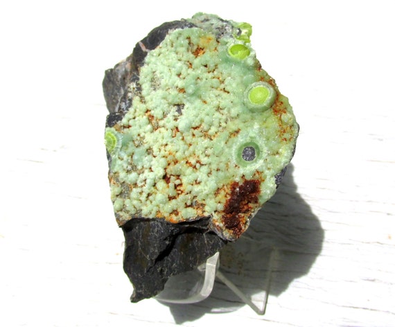 Druzy Green Wavellite Botryoidal Crystals on matrix from Arkansas AAA Mineral Specimen Metaphysical Crystal