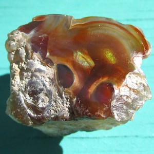 Natural Fire Agate 'Window' Polished 16.2g Arizona Deer Creek Mine Lapidary Stone Supply Natural Gemstone (FA74)