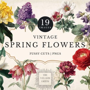 May include: A digital collage showcasing vintage spring flowers in shades of yellow, purple, red, and white. The text "Vintage Spring Flowers" is displayed, alongside "19 Images" and "Fussy Cuts | PNGs". The background is a cream colour.