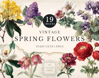 Puede incluir: Un collage digital con flores de primavera vintage en varios colores, incluyendo amarillo, morado, rojo y blanco. El texto "Vintage Spring Flowers" se muestra de forma destacada, junto con "19 Images" y "Fussy Cuts | PNGs". El fondo es de color crema.
