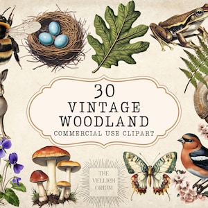 Paquete de imágenes prediseñadas de bosques vintage / Arte natural / Efímeras para diarios basura, álbumes de recortes, proyectos de manualidades / Uso comercial