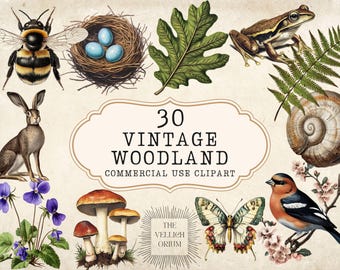 Vintage Woodland Clipart Bundle | 30 Nature Illustrations (Digital Download)