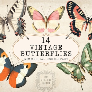 Vintage Schmetterling Clipart Bundle | Retro Schmetterlinge | Ephemera für Junk Journal, Scrapbooking, Bastelprojekte | Kommerzielle Nutzung