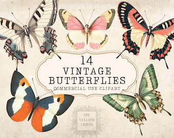 Vintage Butterfly Clipart | Retro Insect PNG Images (Commercial Use)