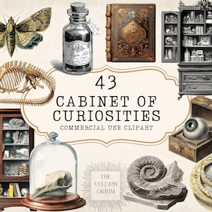 Op de afbeelding: Een vintage collage met een mot, inktfles, boek, kasten en andere curiosa. De afbeelding bevat een dinosaurus skelet, een houten kist met een oogbal en een nautilus schelp. Tekst luidt: "43 Cabinet of Curiosities".