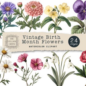 Clipart fleurs mois de naissance vintage, illustrations botaniques, graphiques floraux imprimables, kit de création numérique, esthétique vintage, éphémères