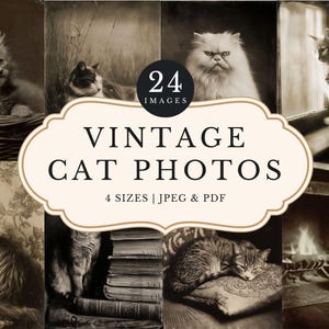 May include: A collection of sepia-toned vintage cat photos. The images feature various cats in different settings, including a kitten in a basket, a cat by a window, and a cat near a fireplace. The text on the image reads "Vintage Cat Photos".