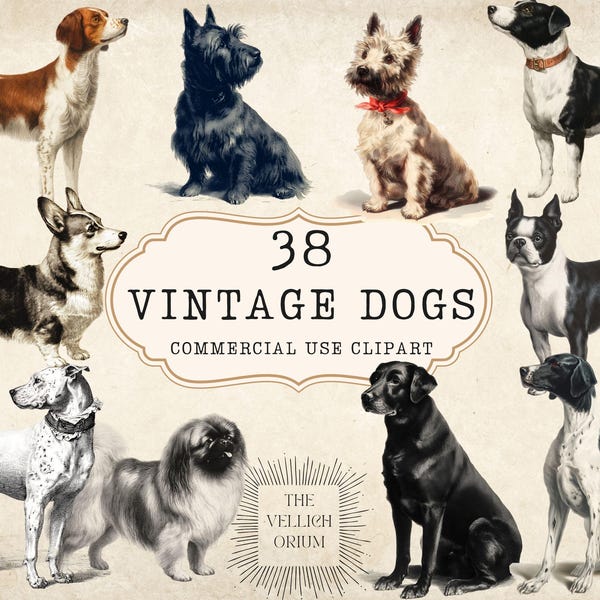 Vintage hund Clipart, retro viktoriansk grafik (38 PNG)