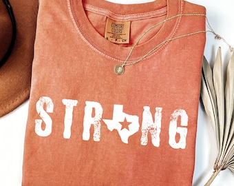 Pray For Texas Shirt, Texas Strong Flood Disaster Relief Comfort Colors® T-Shirt, Hill Country Flooding Survivor Tee