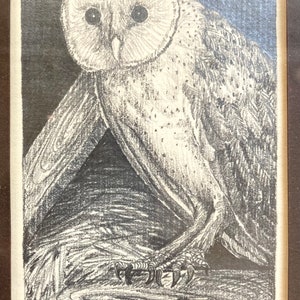 Vintage Owl Pair Art Hand Drawn Pencil Drawings Artist original frames 1970s Retro Farmhouse Lakehouse Cottage Chic Decor Bird Lovers Gift image 3