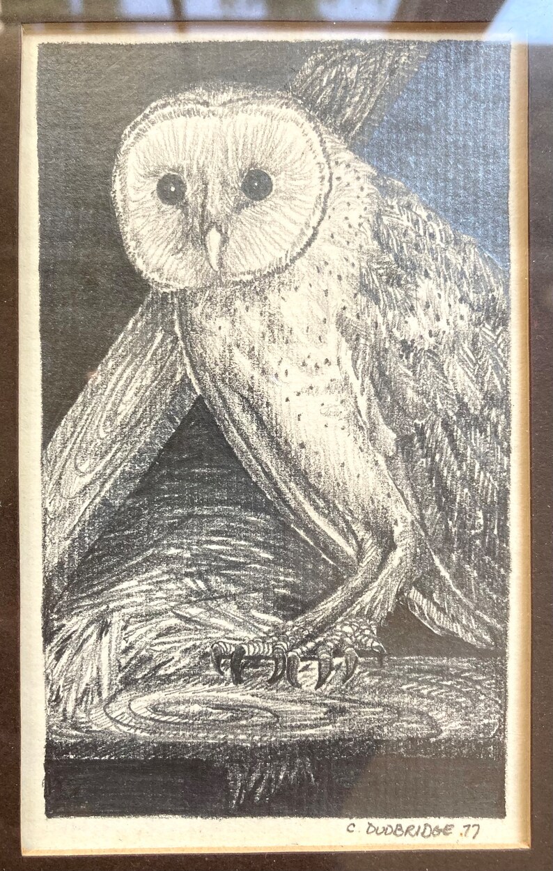 Vintage Owl Pair Art Hand Drawn Pencil Drawings Artist original frames 1970s Retro Farmhouse Lakehouse Cottage Chic Decor Bird Lovers Gift image 3