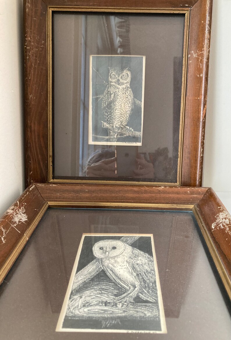 Vintage Owl Pair Art Hand Drawn Pencil Drawings Artist original frames 1970s Retro Farmhouse Lakehouse Cottage Chic Decor Bird Lovers Gift image 7