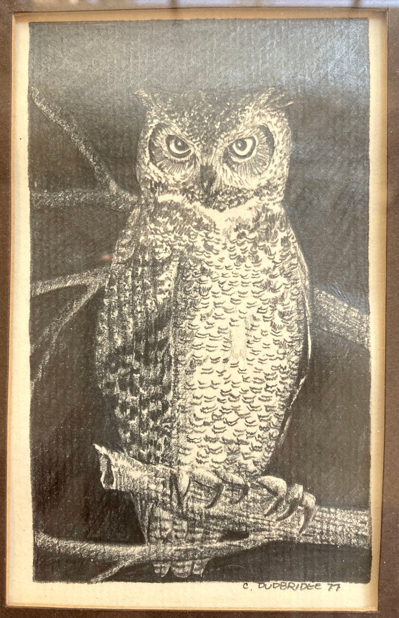 Vintage Owl Pair Art Hand Drawn Pencil Drawings Artist original frames 1970s Retro Farmhouse Lakehouse Cottage Chic Decor Bird Lovers Gift image 2