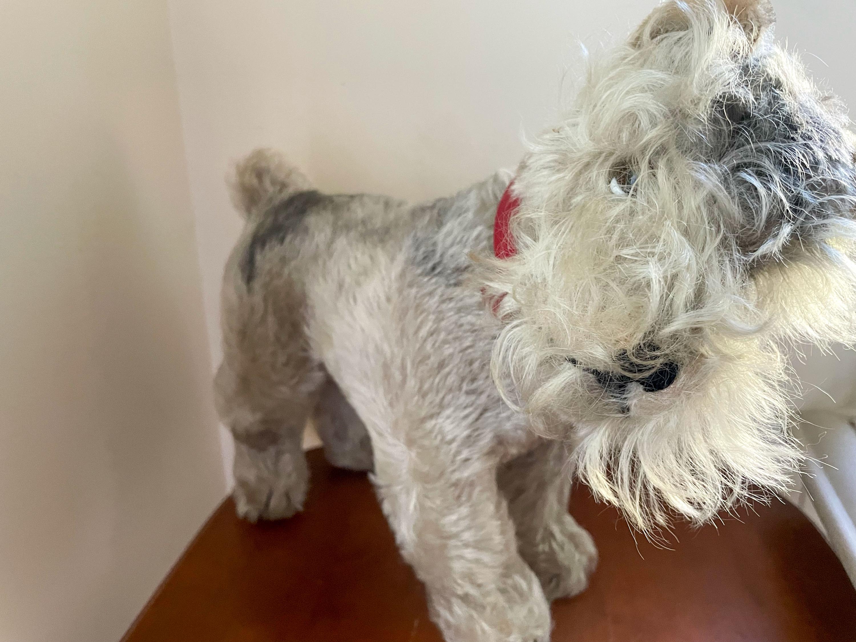 Vintage 1950's STEIFF 5 Gray Mohair Schnauzer TESSIE