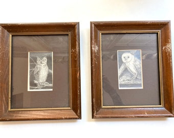 Vintage Owl Pair Art Hand Drawn Pencil Drawings Artist original frames 1970s Retro Farmhouse Lakehouse Cottage Chic Decor Bird Lovers Gift