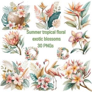 Tropischer Sommer Blumen Clipart, exotische Blüte Aquarell PNG, Hibiskus und Orchidee Illustrationen, Flamingo ästhetischer digitaler Download