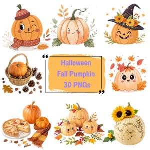 Halloween Kürbis Clipart Bundle: 30 PNG Dateien für die Herbst Dekoration (Digitaler Download