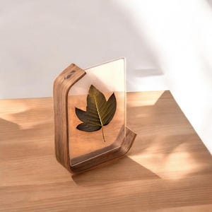 Wooden Acrylic Photo Frame: Herbarium Display Case