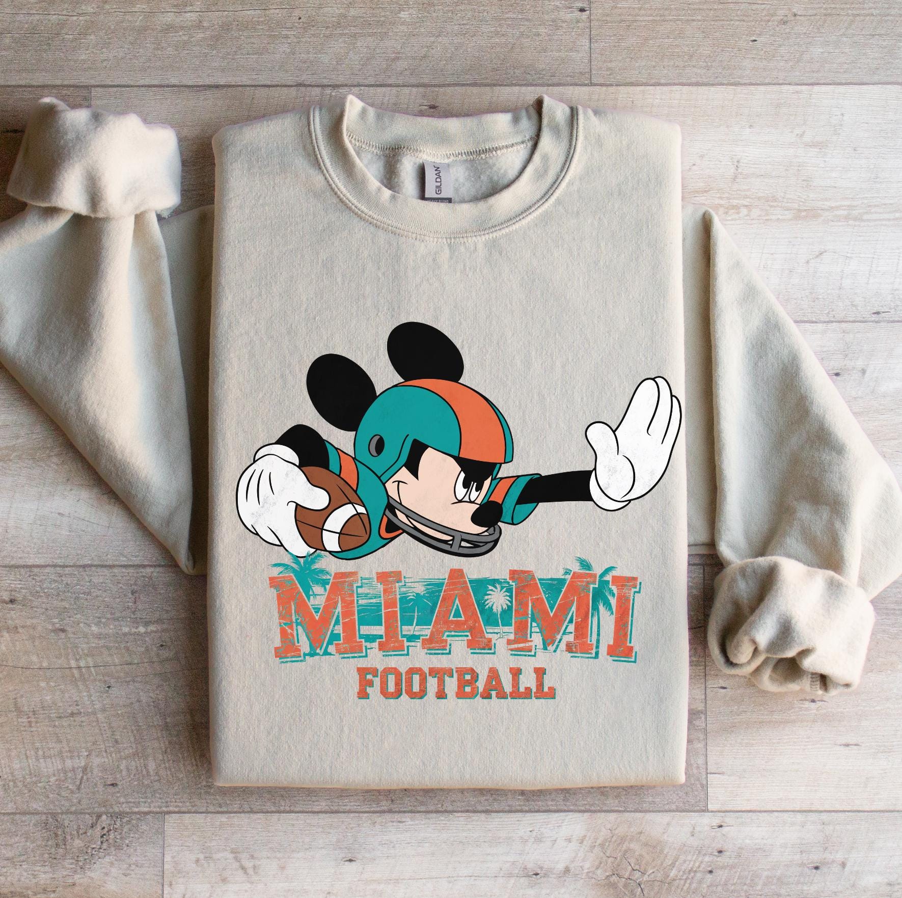 Dolphins Mickey