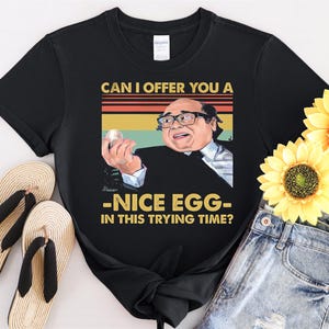 Kan jag erbjuda dig ett ägg i denna prövande tid, t-shirt för män och kvinnor, barn, t-shirt med huvtröja, tröja, S till 5XL, t-shirt med UV-klistermärke, YU39
