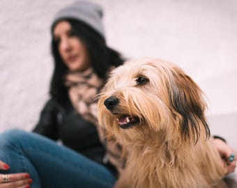 Aangepaste puzzel met de foto van je huisdier: het puzzelcadeau voor dierenliefhebbers | Gepersonaliseerde puzzel