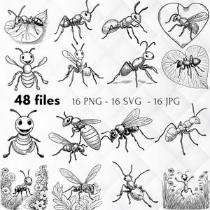 Cute Ant Clipart | Digital Download | PNG, JPG, SVG | High-Quality 300 dpi