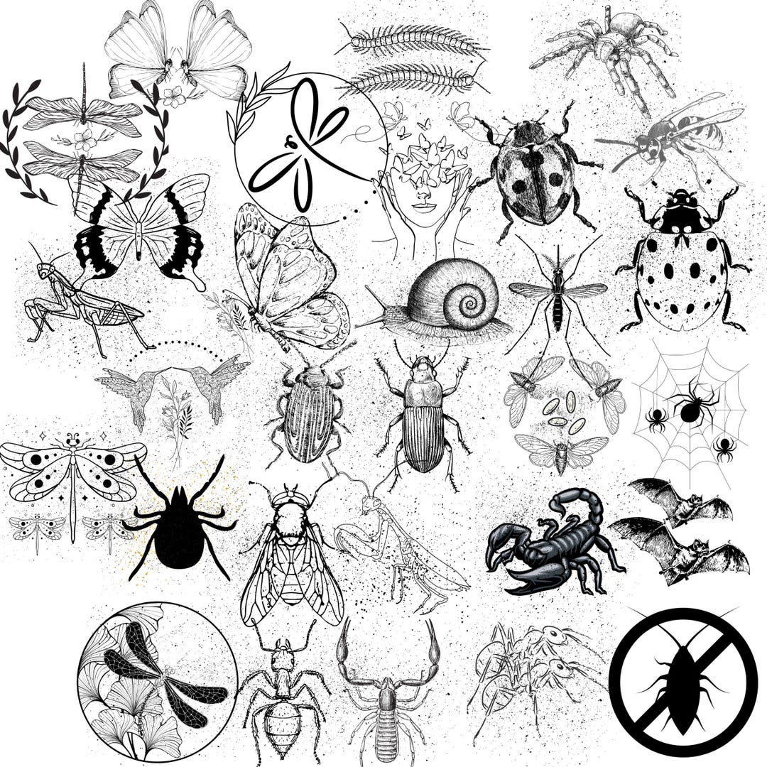 Insects Racing Svg Insects SVG Bundle, Insects PNG, Differents Insects Jpg, Butterfly ...