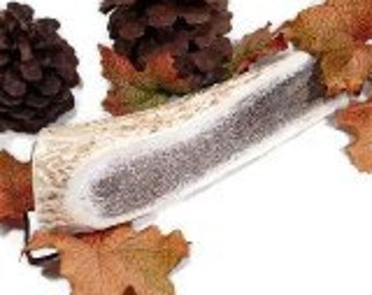 Elk Antler Dog Chew -X-Large Half Sized for Dogs 80-110 lbs.